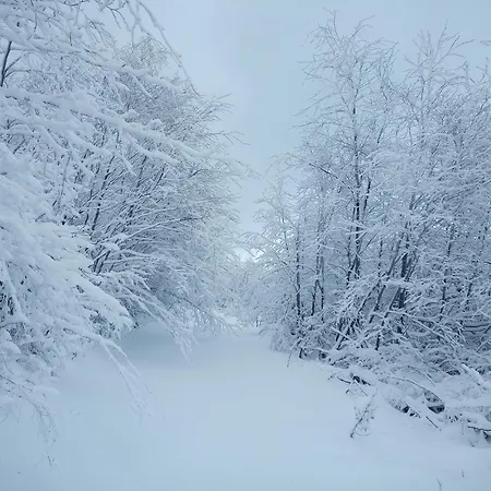 Sowiogorska Ostoja * Jugów