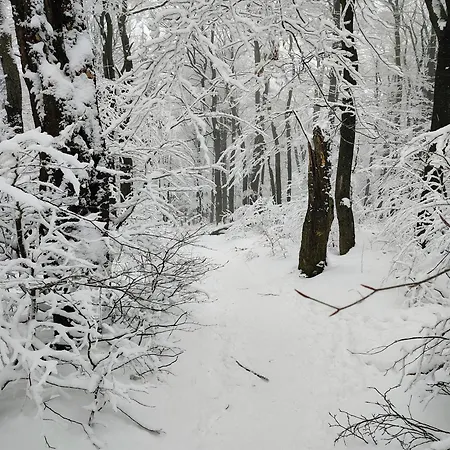 Sowiogorska Ostoja Lägenhet Jugów