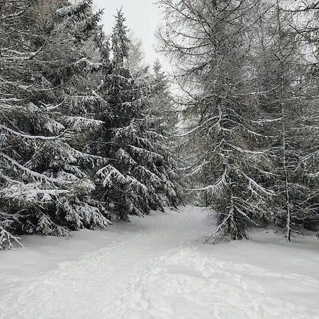 Sowiogorska Ostoja *