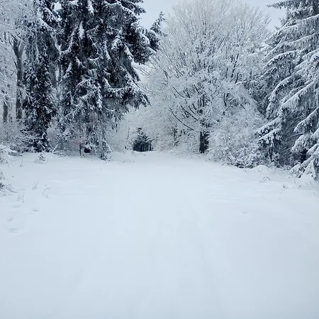 Lägenhet Sowiogorska Ostoja *