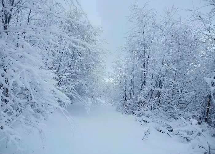 Sowiogorska Ostoja * Jugów