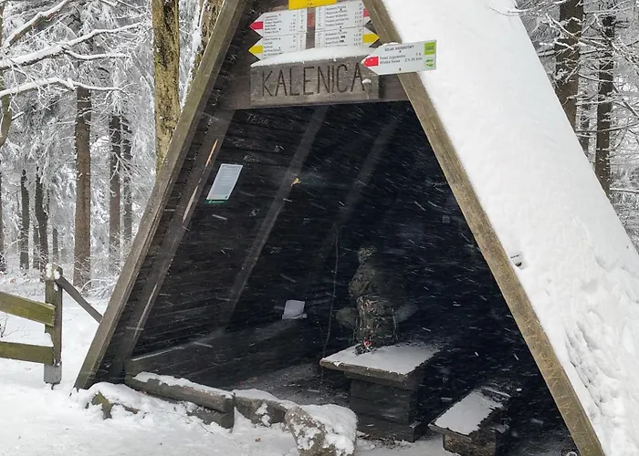 Sowiogorska Ostoja Apartment