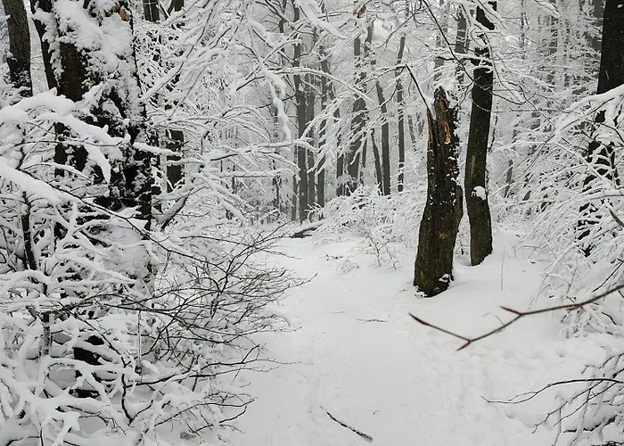 Sowiogorska Ostoja Apartment Jugow