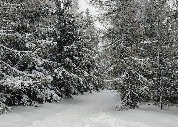 Sowiogorska Ostoja *