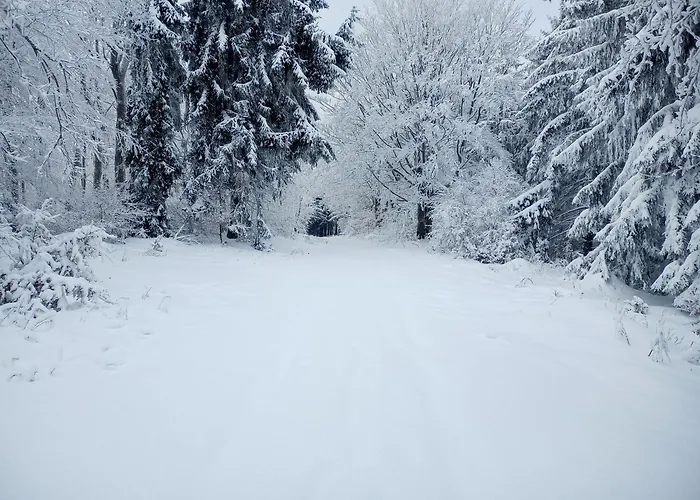 Apartment Sowiogorska Ostoja *