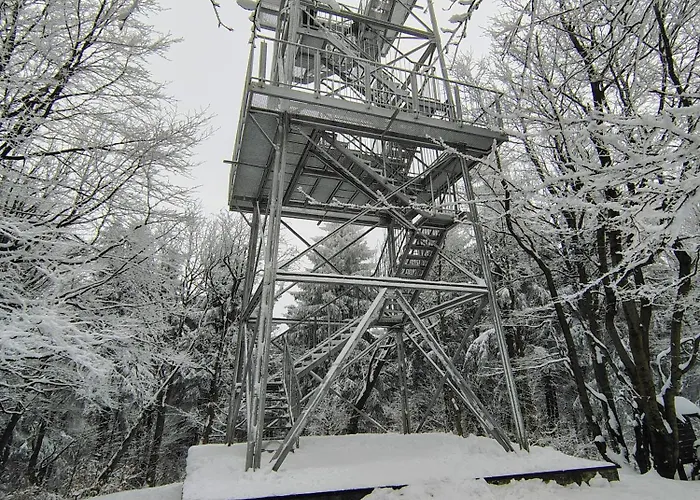 Sowiogorska Ostoja Apartment Jugow
